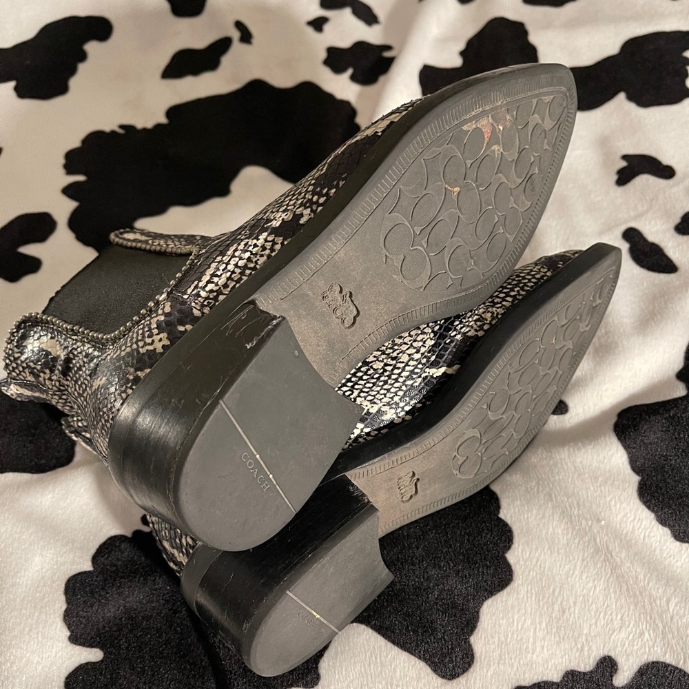 Women’s Python Boot & Belt ! - Picture 3 of 8